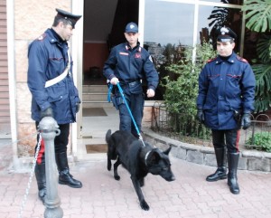 Perlustrazione dei Carabinieri con i cani antidroga