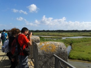 Riserva naturale Diaccia Botrona