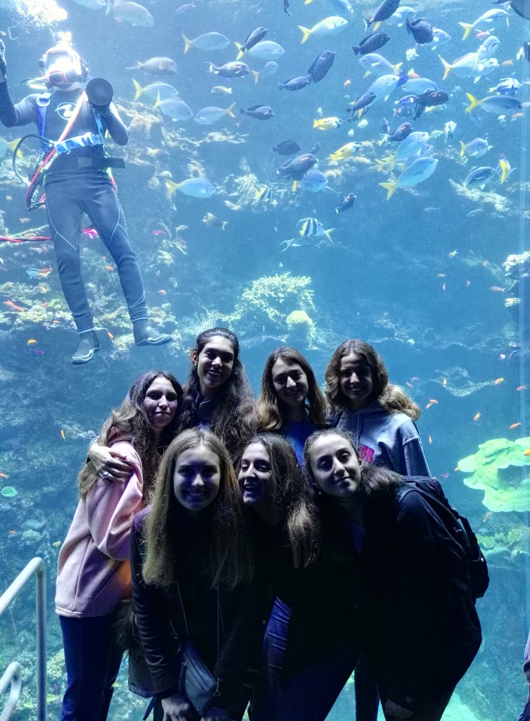 Acadmy of Sciences Aquarium